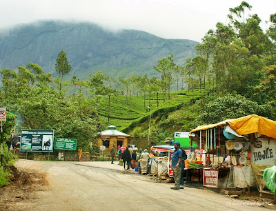 Munnar Holiday Packages