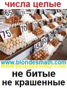 Числа целые. Не битые, не крашенные. Математика для блондинок.