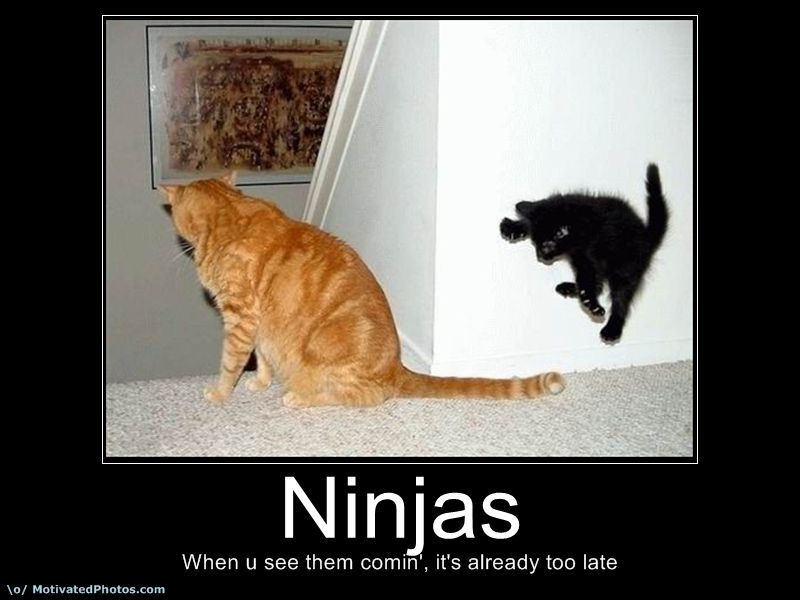 Motivational posters funny ninjas |Funny & Amazing Images