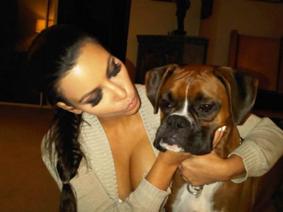 kim kardashian twitter photos. Kim Kardashian LOVES twitter,