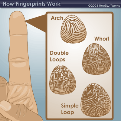 to get fingerprinted.