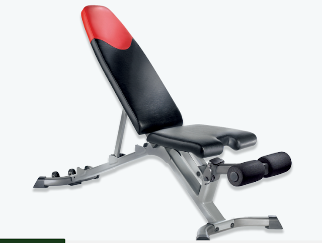 Bowflex SelectTech 3.1 Adjustable Bench.