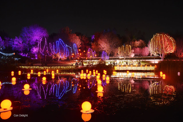 פסטיבל winter lights הגן הבוטני בירושלים