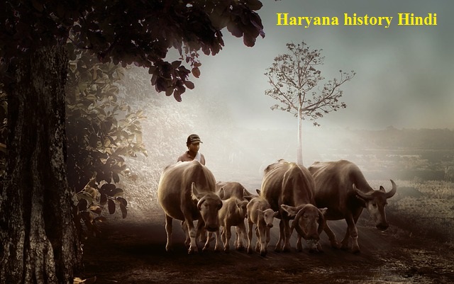 Haryana history in Hindi 