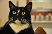Atticus