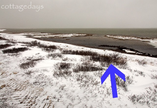 Hudson-Bay-&-snowy-tundra with arrow