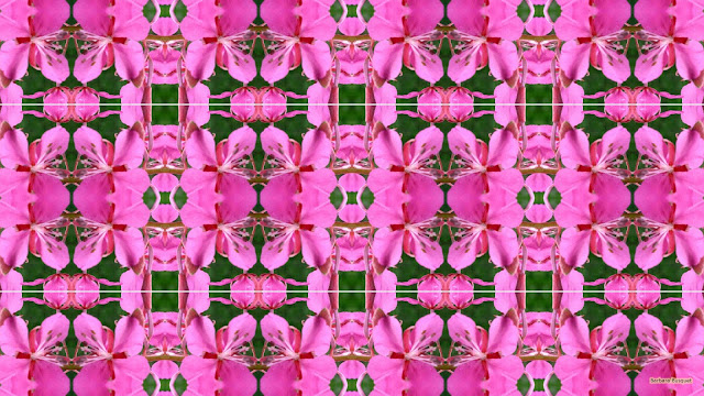 Patroon wallpaper met roze bloemen