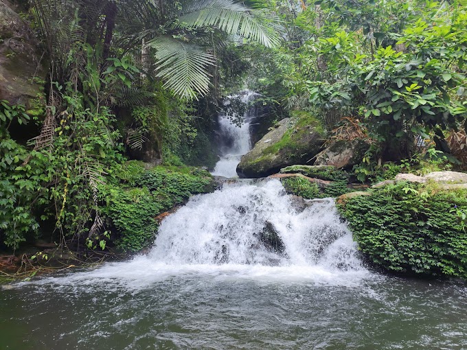 The unexplored waterfalls and scenes of Kuttampuzha