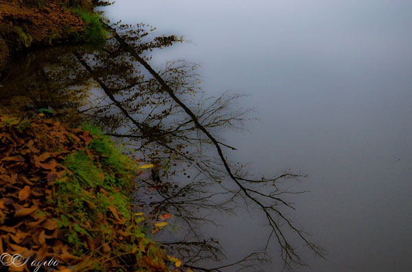 язовир-Душанци-Dushantsi-lake