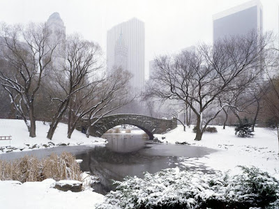 central park new york winter. Whether you#39;re in Aspen or NYC