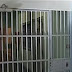 Υπερπληθυσμός στις φυλακές, ακατάλληλες συνθήκες διαβίωσης, κατάχρηση προφυλάκισης