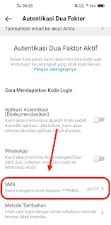 Cara Mudah Download Video Di Instagram