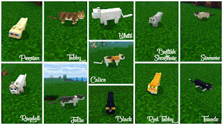 Cara Menjinakkan Kucing di Minecraft PE - Gamelmit