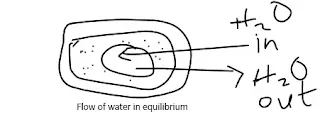 Flow of water in equilibrium