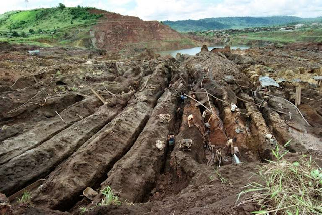 Study finds dangerous mercury levels in Amazon fish