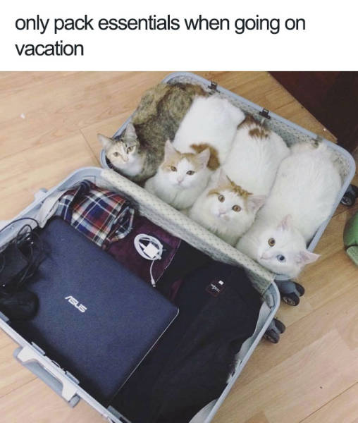 Only pack essentials when going vacation