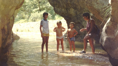 Torrent del Bosc