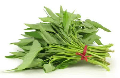 Kangkung