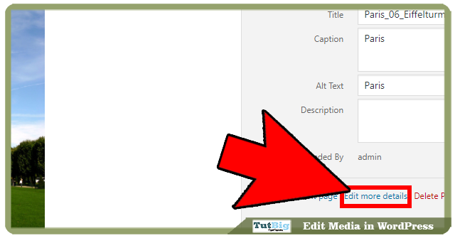  welcome to the TutBig today I volition exhibit you lot  How to Edit Media inwards WordPress Step past times Step Tutorial