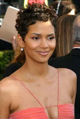 Afro Hair Cuts on Hairstyle  Halle Berry Hairstyles For African American Women 2010