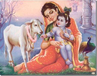 Celebrate Krishna Janmashtami 10th August 2012 : Krishna Janmashtami Festival 2012