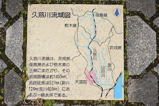 辰ノ口親水公園桜づつみ