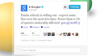 Google panda update