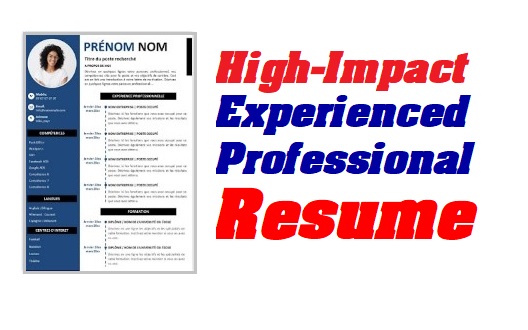 Experienced Professional Resume 2024