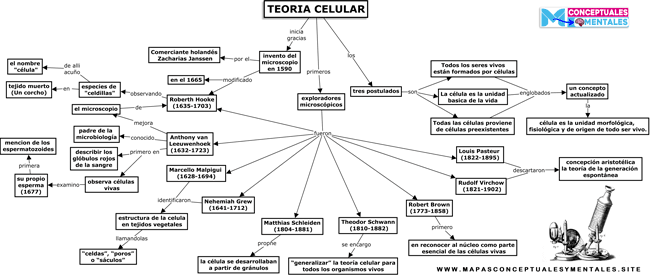 Mapa conceptual de la teoría celular principios historicos