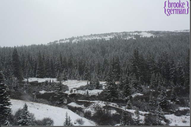 Colorado-Oct2010_50