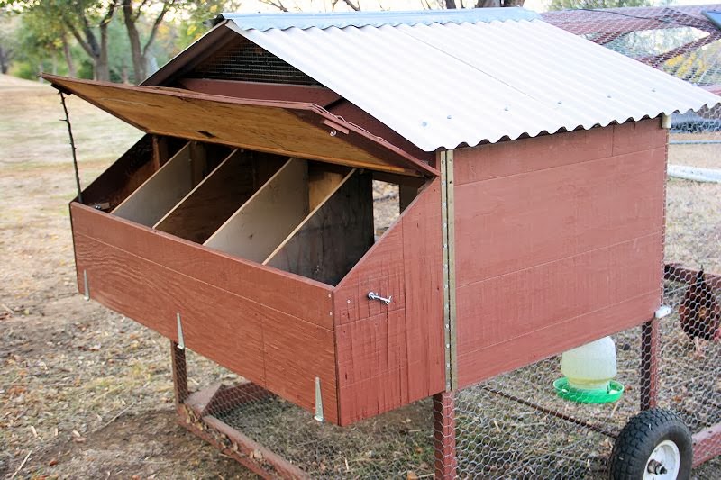 The nest box lid opens for easy egg collection