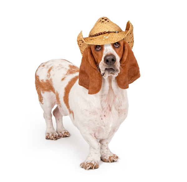 Shutterstock 61239316
