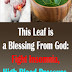This Leaf is a Blessing From God: Fight Insomnia, High Blood Pressure, Sugar and Blood Fat 