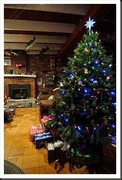 Bubba's_Christmas