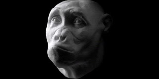 Sahelanthropus tchadensis