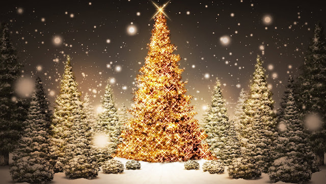 Free Download Christmas Tree HD Wallpapers for iPhone 5 - Christmas Tree with Snow and Lights