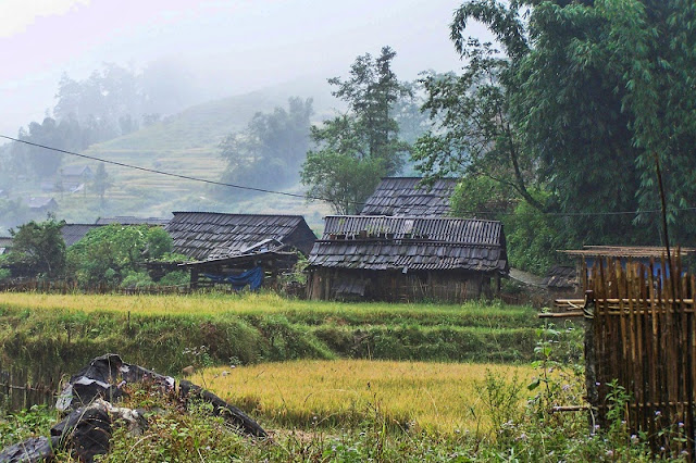 The Best Time To Visit Terraced Fields In Sapa, Vietnam 1