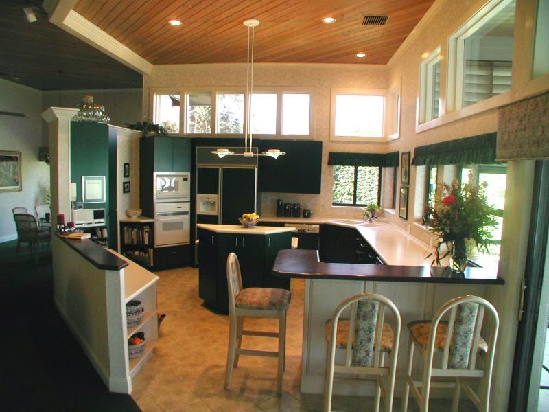 Kitchen Design Pictures