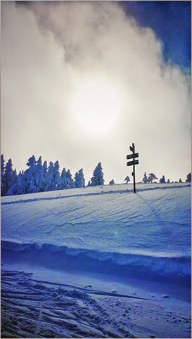 P1170746_1