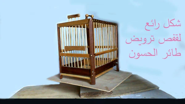 How to make the best wild bird cage شكل رائع لقفص ترويض طائر الحسون