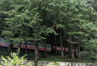 Train at Mountain Ali/Alishan