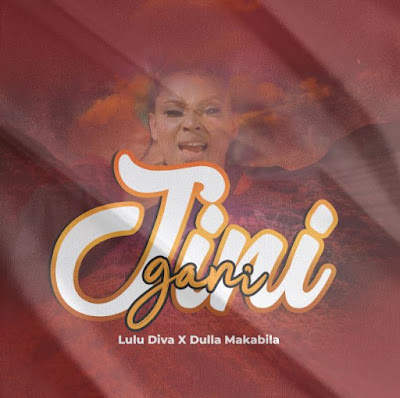 Download Audio Mp3  | Lulu Diva ft Dulla Makabila – Jini Gani