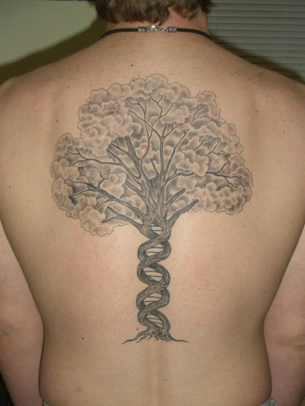 Tattoo tree of life