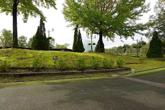 鳥取県西伯郡南部町鶴田　とっとり花回廊