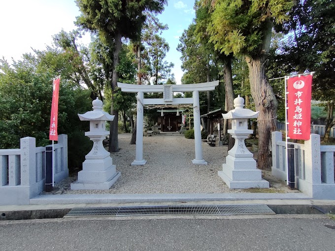 宝塚の縁結びパワースポット市杵島姫神社の夫婦杉