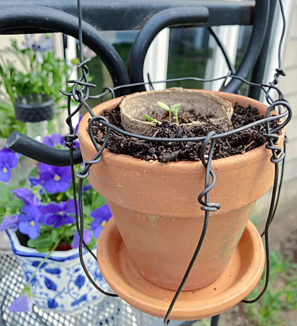 wire rebar wire basket with planter and seeds