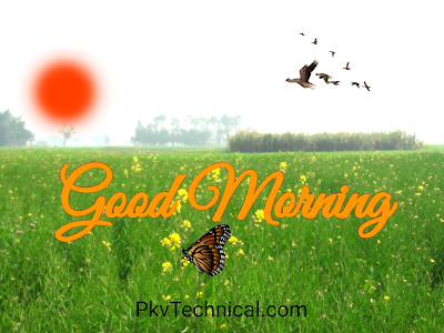 Good Morning messages|Photo Images & Whatsapp Status