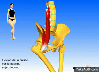 Psoas Pain Can Be Mysterious