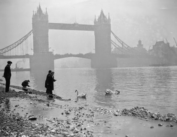 Ultimate Collection Of Rare Historical Photos. A Big Piece Of History (200 Pictures) - Tower Bridge