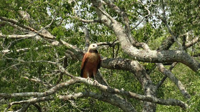 Parque Nacional Chaco